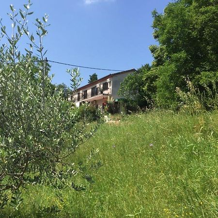 Apartment Cimbora, Salara Farmhouse Koper Luaran gambar